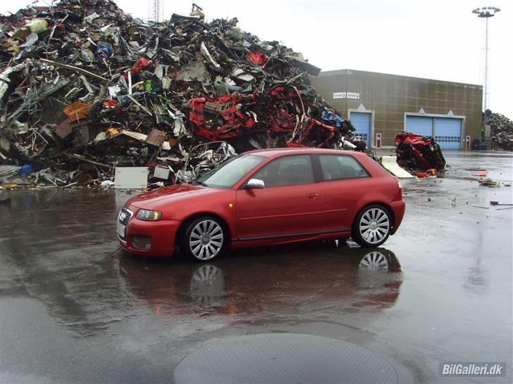 Audi A3 (Solgt) billede 1