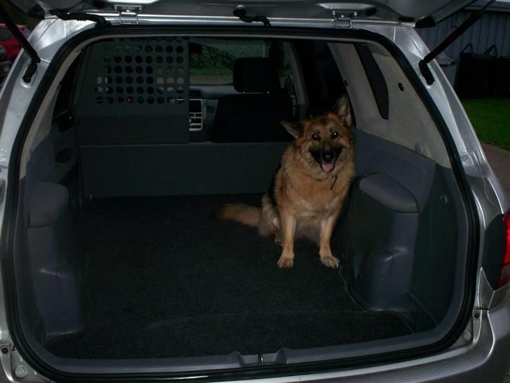 Toyota Sportsvan SOLGT billede 8