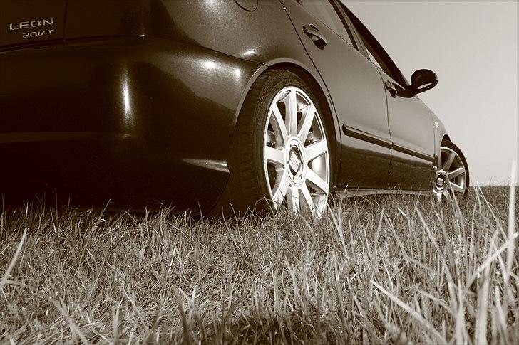 Seat Leon 20VT *totalskadet* billede 7