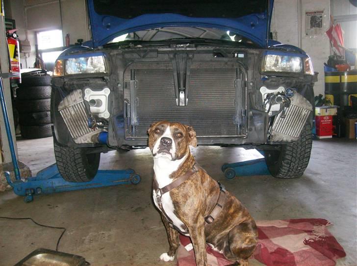 Audi A3 1,8 20V Turbo billede 9