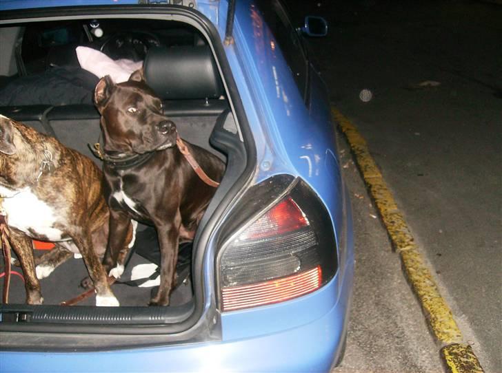 Audi A3 1,8 20V Turbo billede 10