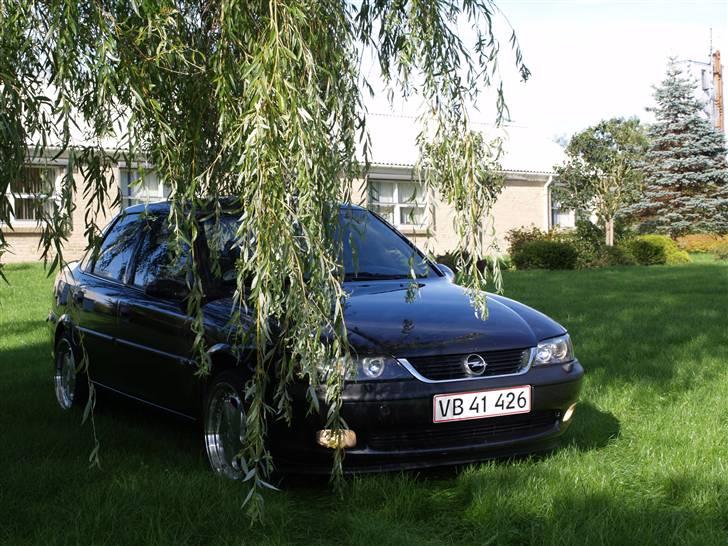 Opel Vectra b billede 7