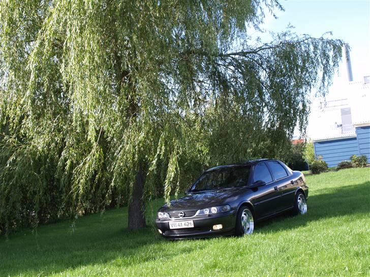 Opel Vectra b billede 8