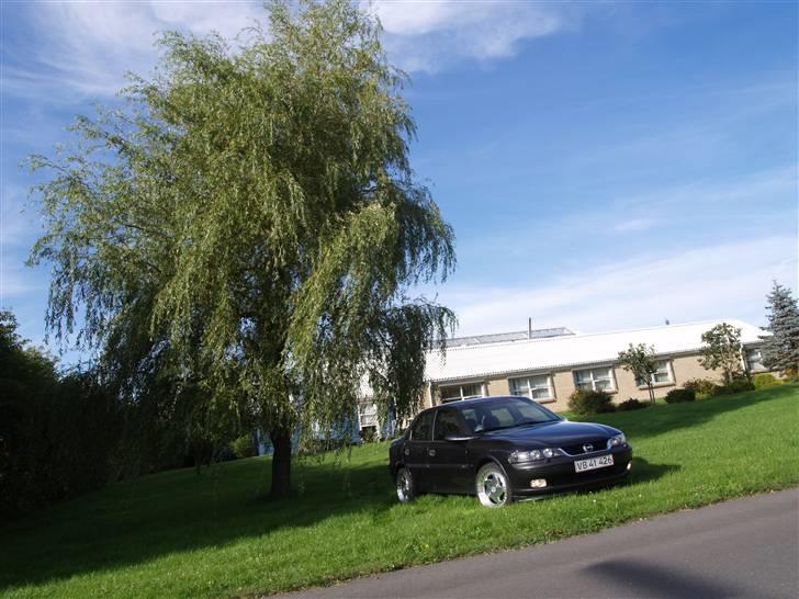 Opel Vectra b billede 10