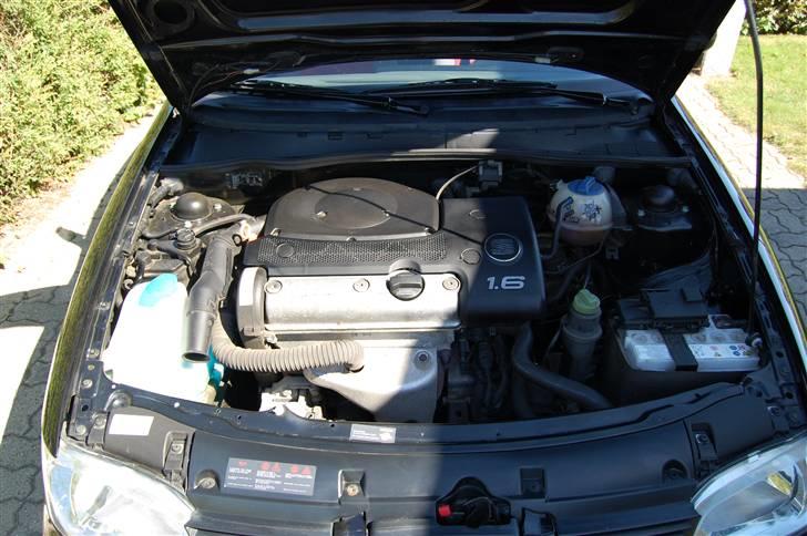 Seat Ibiza billede 16