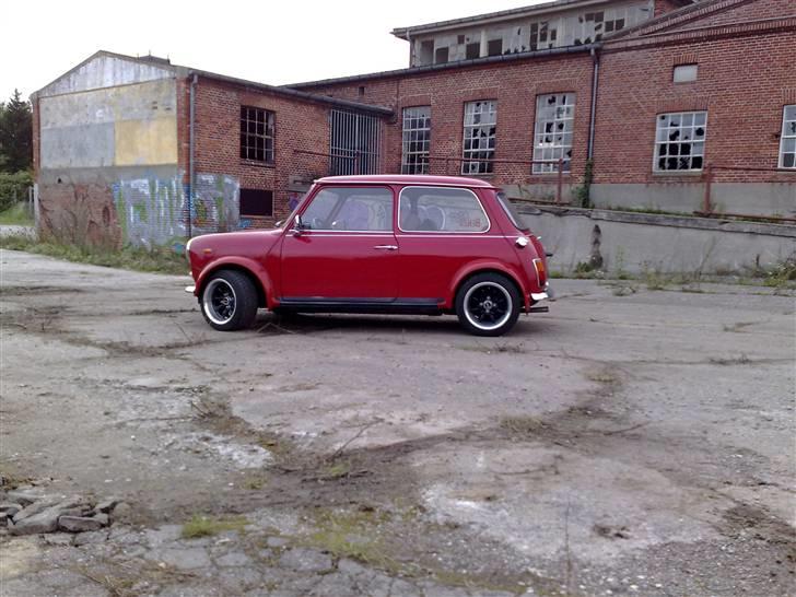 Austin Mini de luxe  - Nyt billede 15