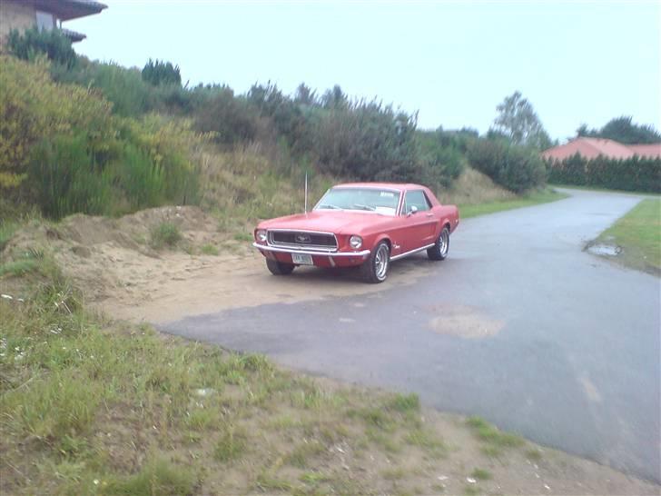 Ford Mustang billede 1