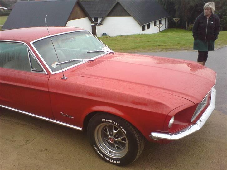 Ford Mustang - lillemor i baggrunden :) billede 3