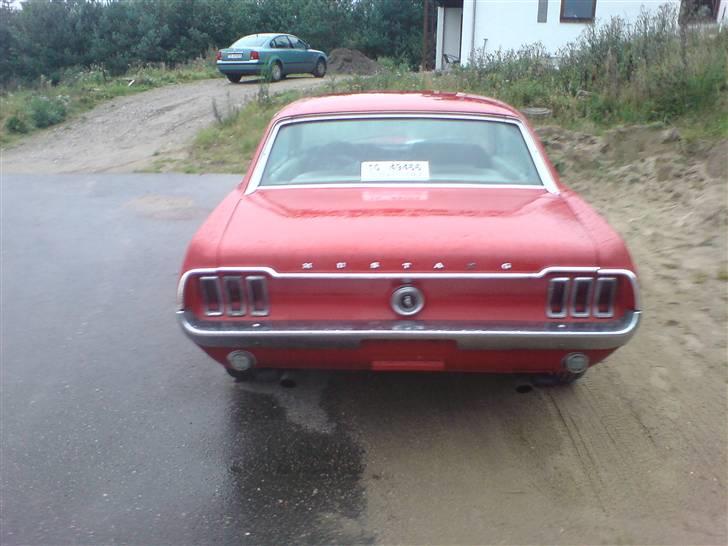 Ford Mustang billede 5