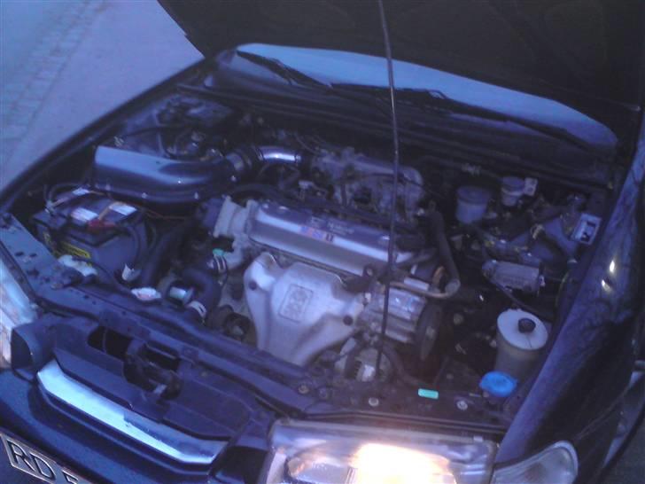 Honda Accord Mk V DØD billede 9