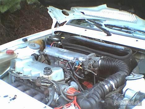 Ford Escort xr3i billede 2