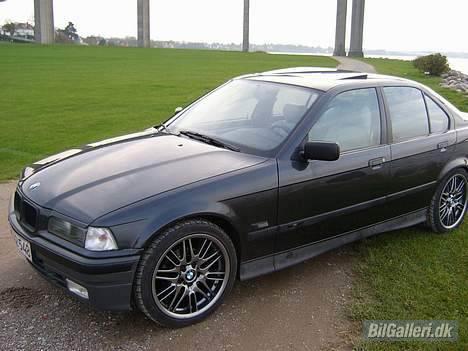 BMW 320i e36 323i billede 2