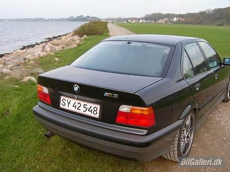 BMW 320i e36 323i billede 3