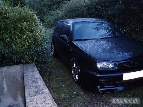 VW BlackWolf Golf 3 SOLGT billede 6