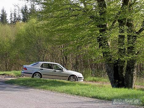 Saab 9,5 Turbo Aero - Et lille forårsbillede. billede 3