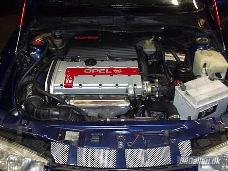 Opel calibra billede 3