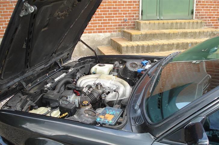 BMW e30 325i cab billede 7