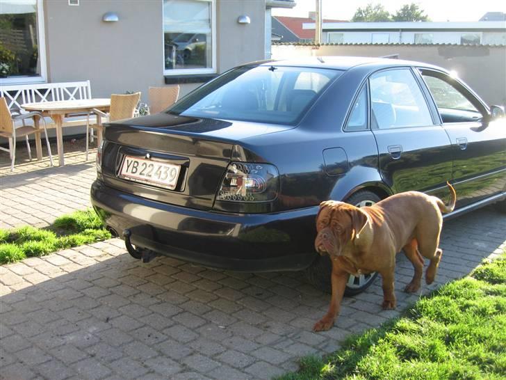 Audi Audi A4 SOLGT billede 3