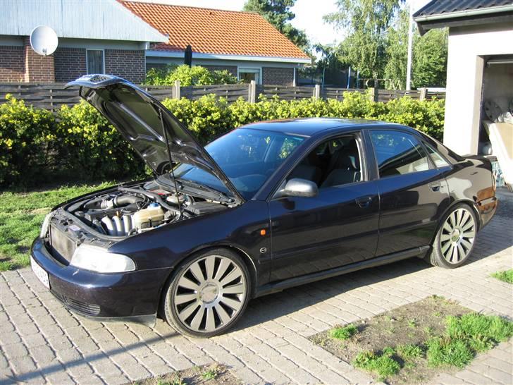 Audi Audi A4 SOLGT billede 9