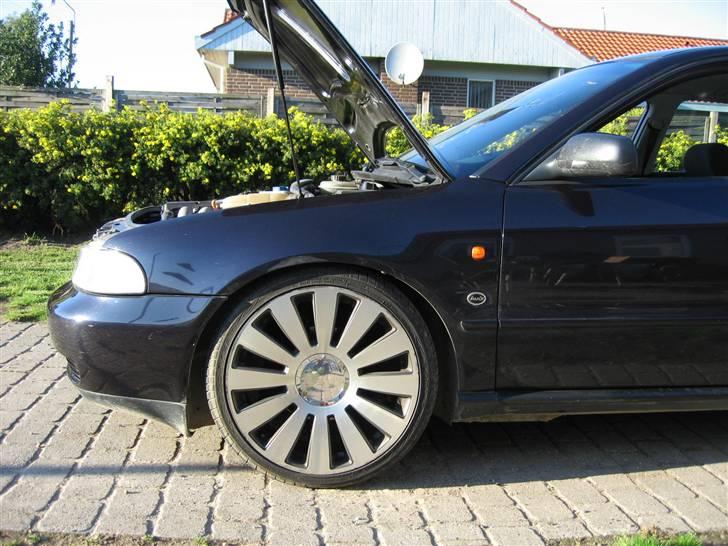 Audi Audi A4 SOLGT billede 10