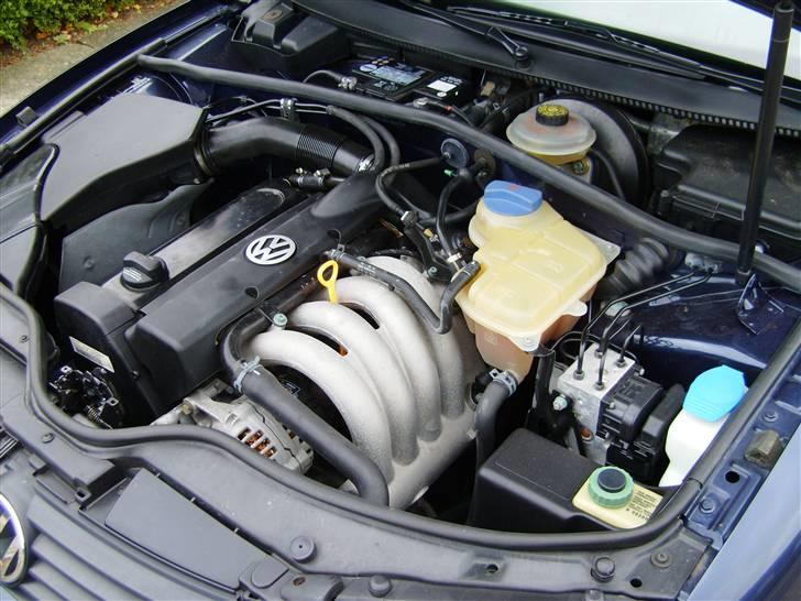 VW Passat 3B Limousine billede 9