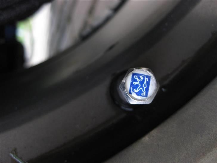 Peugeot 306 2,0 HDi "Løven" SOLGT - Custom ventilhætter med "løve" mærket... :D billede 12