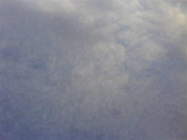 Honda Civic - Prøvede at fange lakken :P billede 12