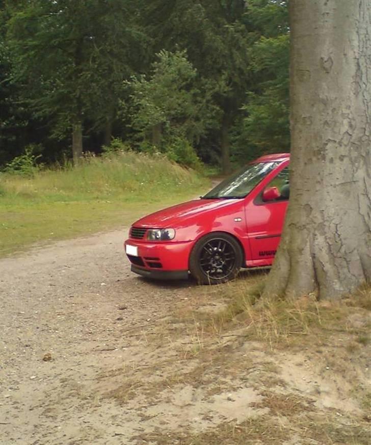 VW Polo 6N - På tur i det grønne:p billede 18