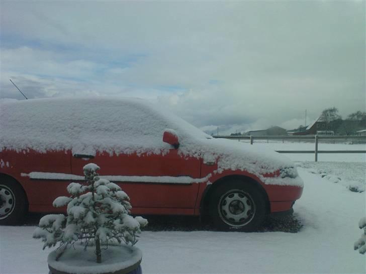 VW Polo 6N - Vinterstylet:P billede 19