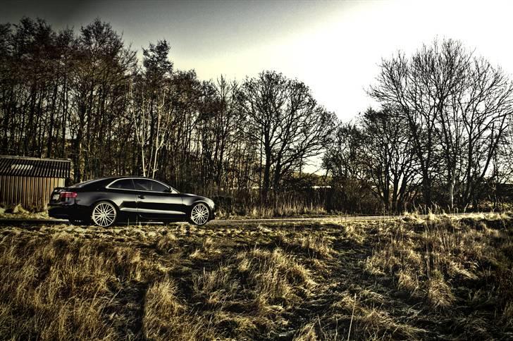 Audi A5 - Mr. B. edition! billede 6