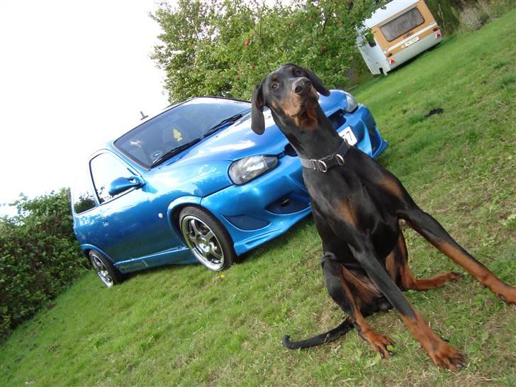 Opel ~Corsa~ 1,4i SE - SOLGT - Corsa´en med tyveri alarm...... :-) billede 4