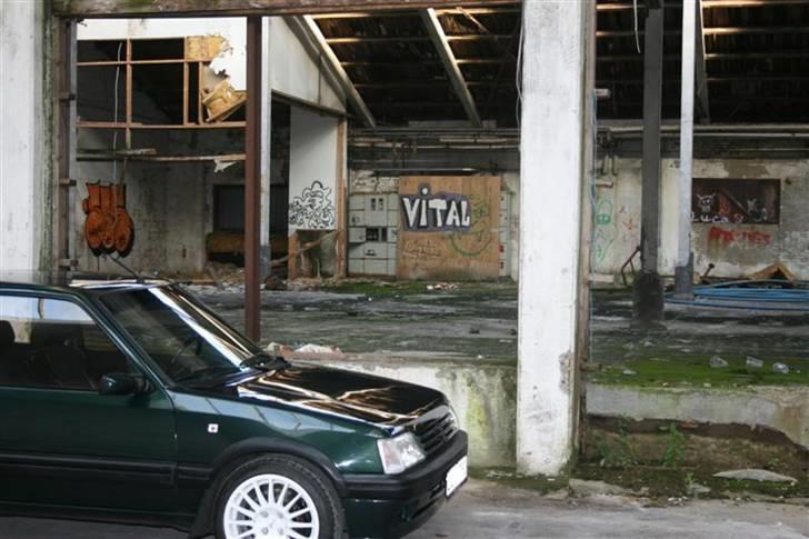 Peugeot 205 2,4 16v GTI billede 5