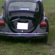 VW 1303 Trunte