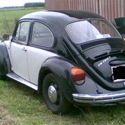 VW 1303 Trunte