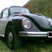 VW 1303 Trunte