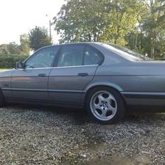 BMW  525i/525 tds SOLGT