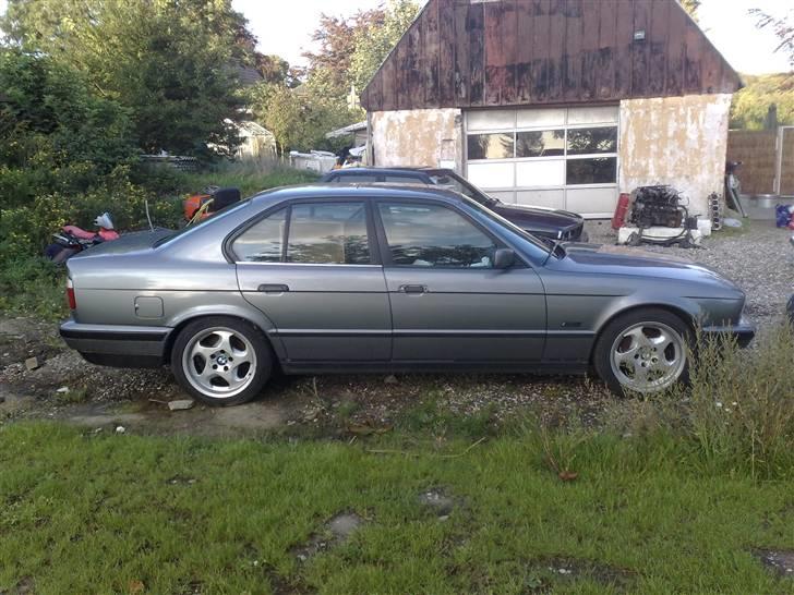 BMW  525i/525 tds SOLGT billede 4