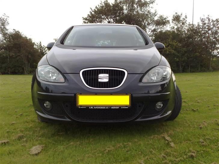 Seat Altea billede 1