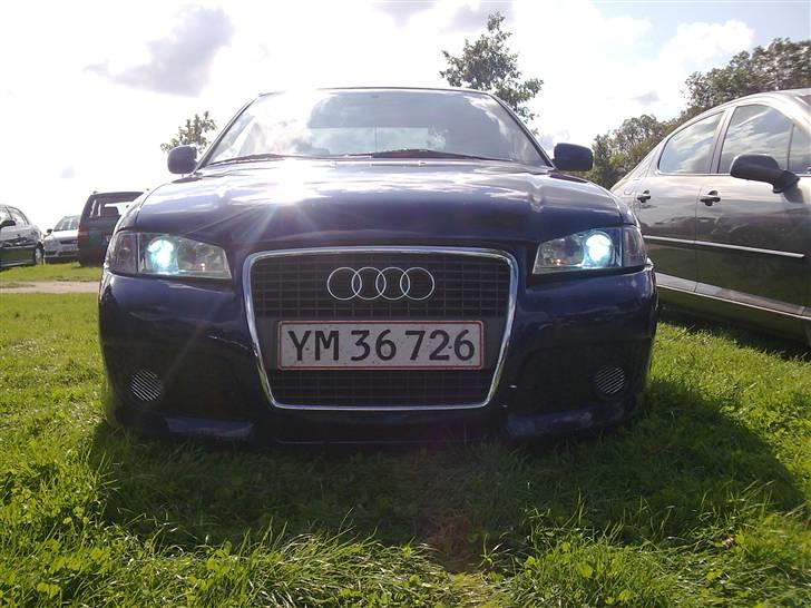 Audi S4 Bi Turbo (SOLGT) billede 12