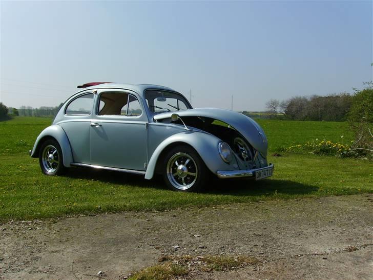 VW Type 1   billede 1