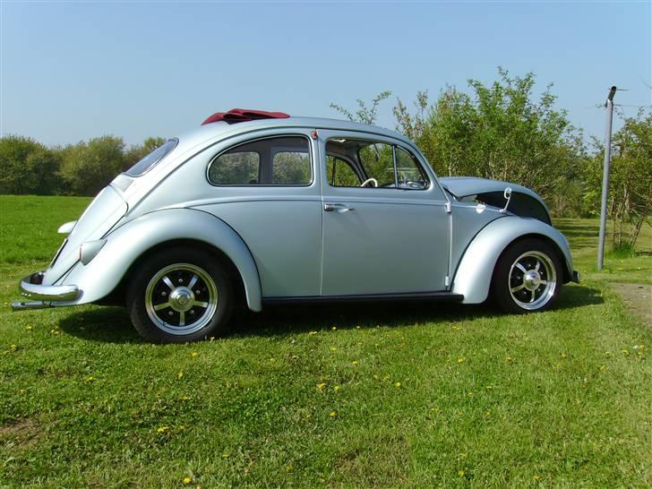 VW Type 1   billede 2