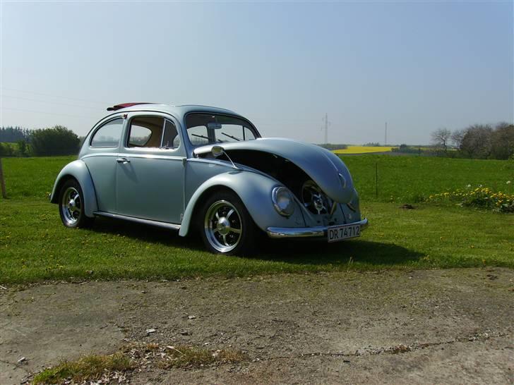 VW Type 1   billede 4