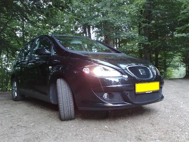 Seat Altea billede 9