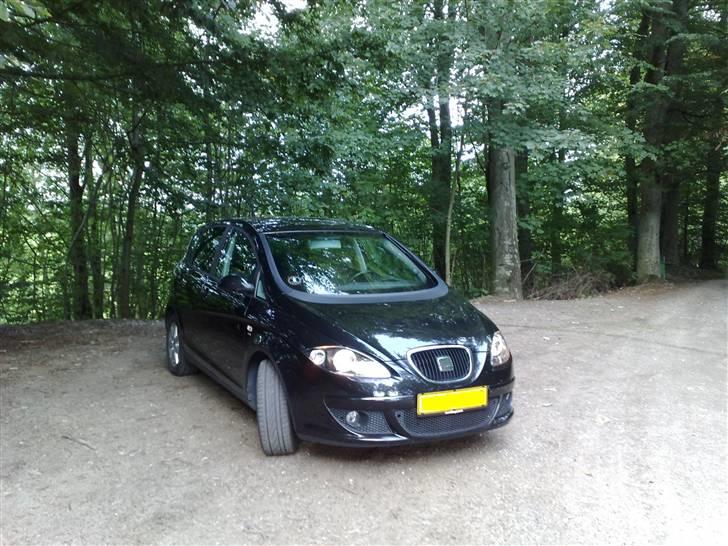 Seat Altea billede 10