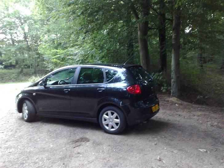 Seat Altea billede 11