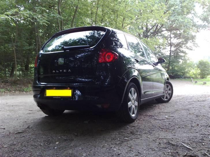 Seat Altea billede 12