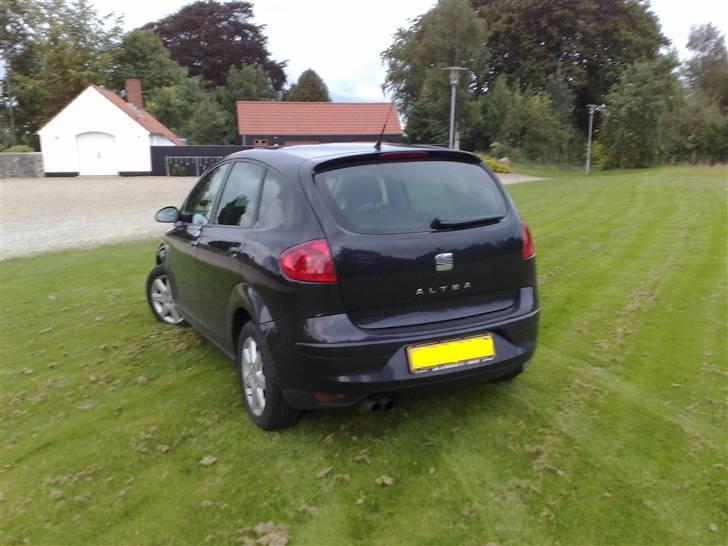 Seat Altea billede 15