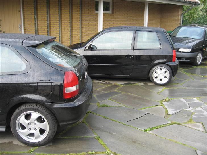 Honda Civic billede 2