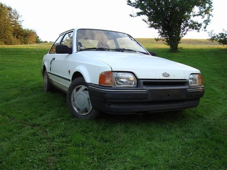 Ford Escort (Død) billede 1