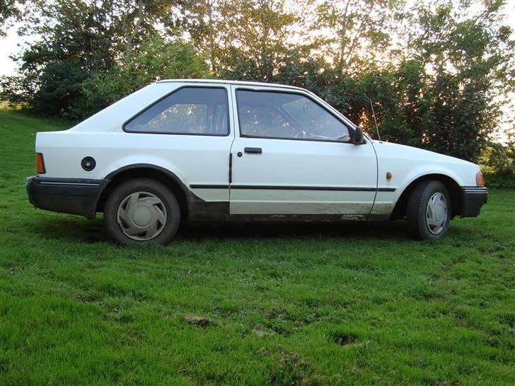 Ford Escort (Død) billede 4